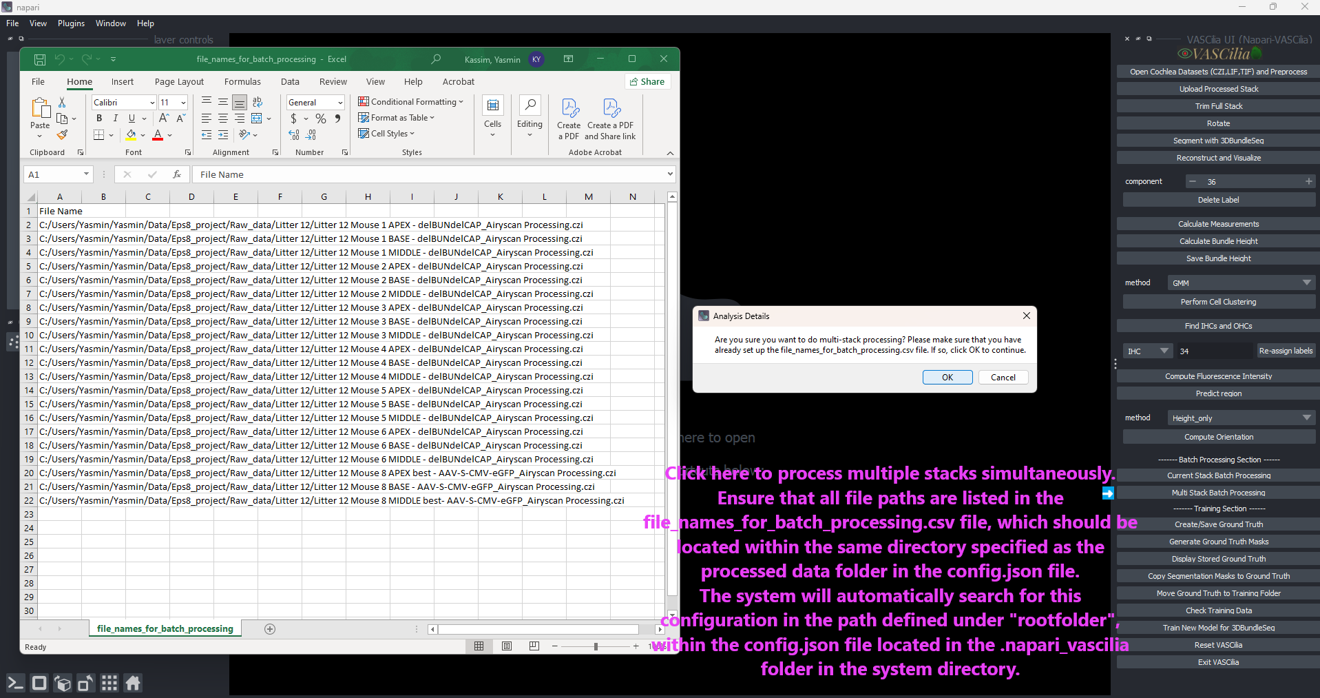 multi batch Action Preprocessing Example