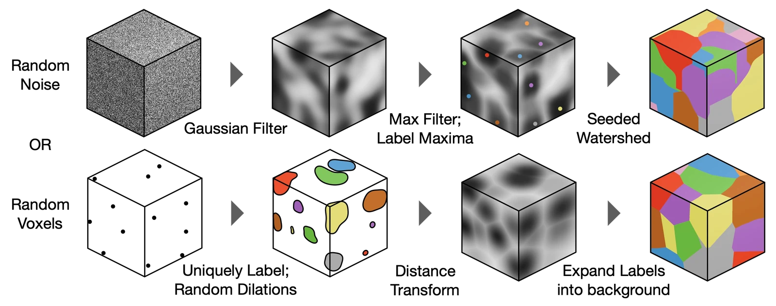 Generation of 3D synthetic data through a series of morphological operations and transformations applied to a random array of noise or foreground voxels.