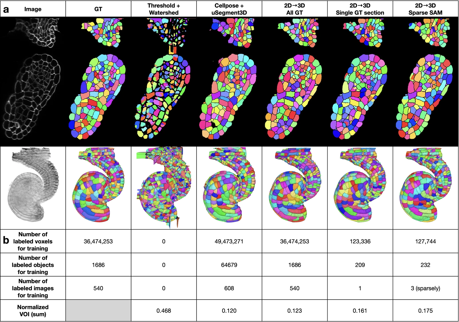 Comparison of 2D to 3D segmentation with Cellpose + uSegment3D on the EPI dataset. Representative XY sections and 3D mesh renderings, plus quantitative comparison of labeled voxels/objects/images, annotation time, and normalized VOI.