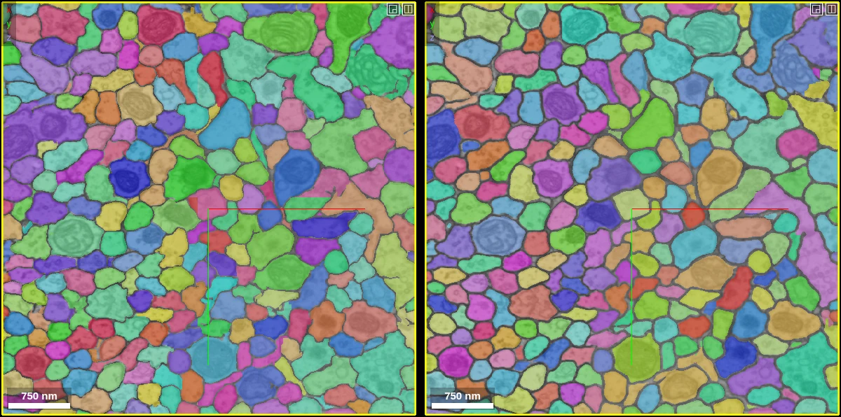 Two segmentations side by side: round 1 with thin boundaries, round 2 with wider gray boundaries