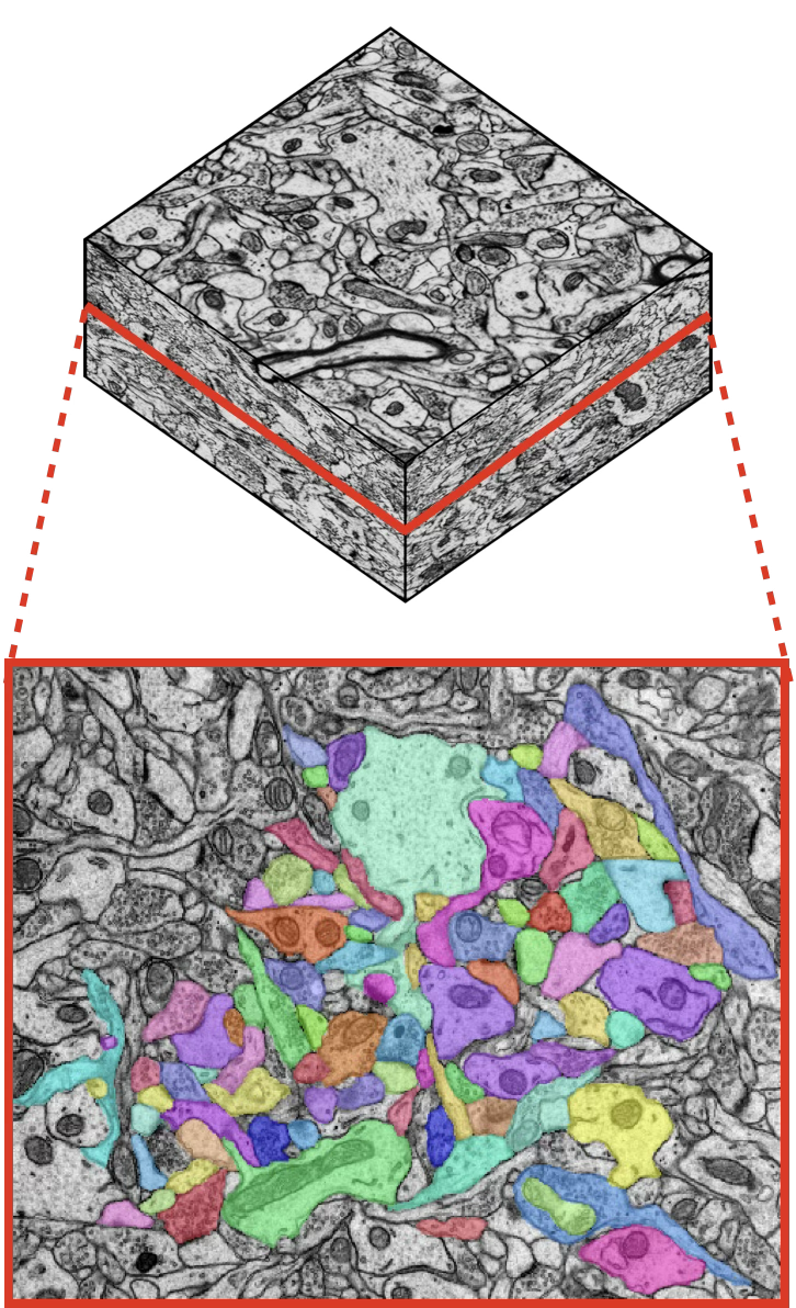 Example sparse, non-expert annotations created in 30 minutes for HARRIS-15, partitioned into three 10-minute subsets.