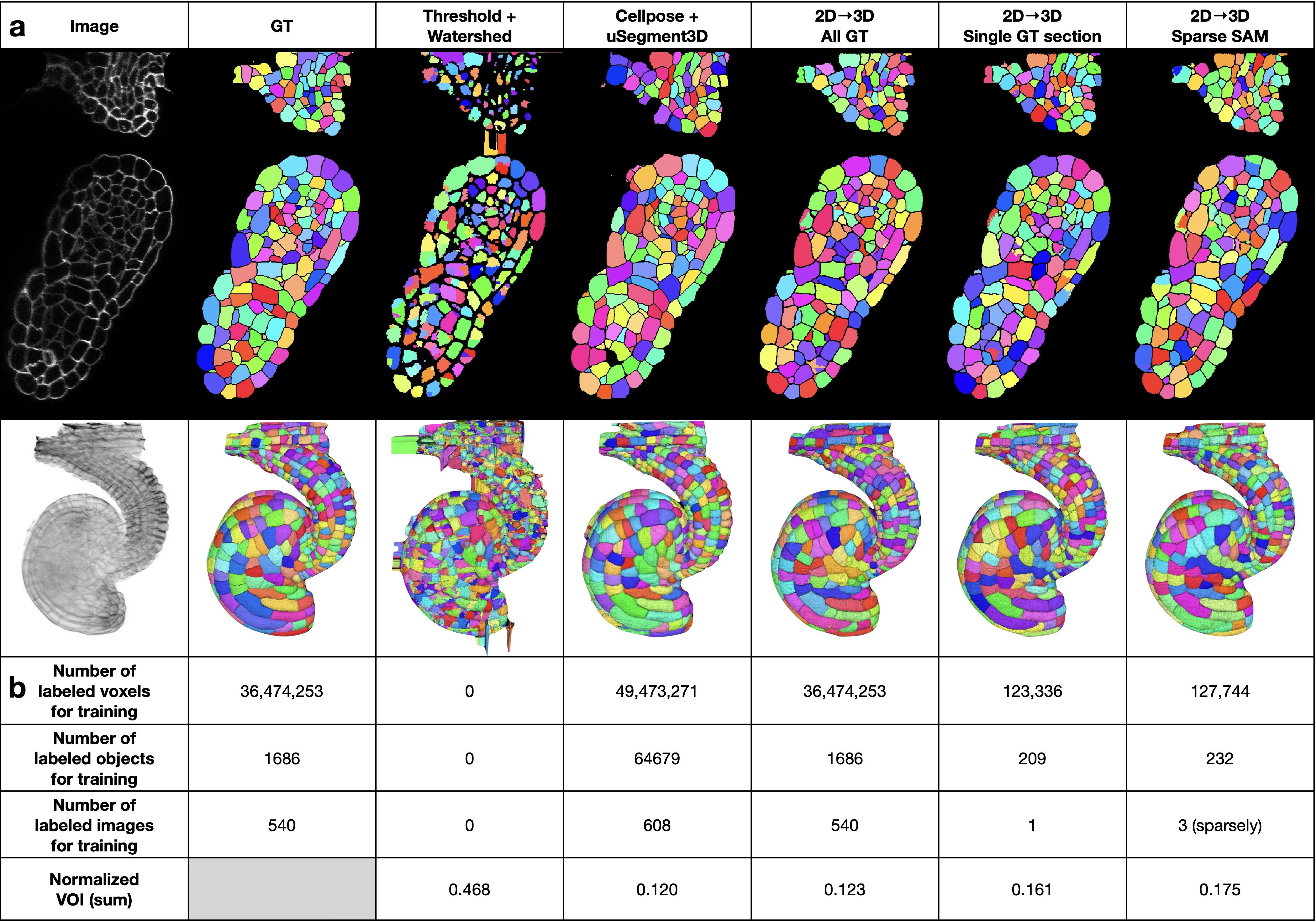 Comparison of 2D to 3D segmentation with Cellpose + uSegment3D on the EPI dataset. Representative XY sections and 3D mesh renderings, plus quantitative comparison of labelled voxels/objects/images, annotation time, and normalized VOI.