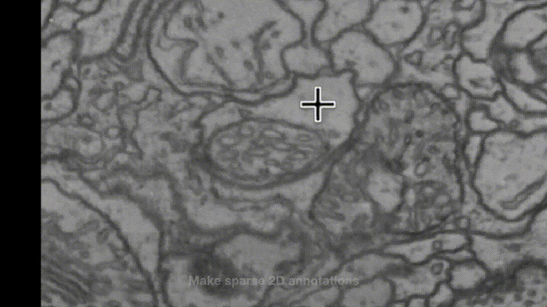 Napari bootstrapper plugin demonstration showing annotation, training, inference, and 3D segmentation output.